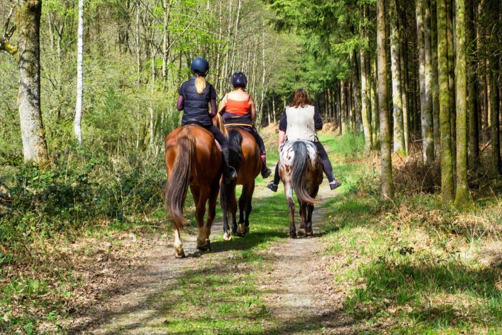 balade à cheval en haute-savoie et annecy